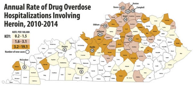 Annual overdose rate