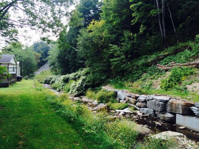 Corps keeps public water clean naturally