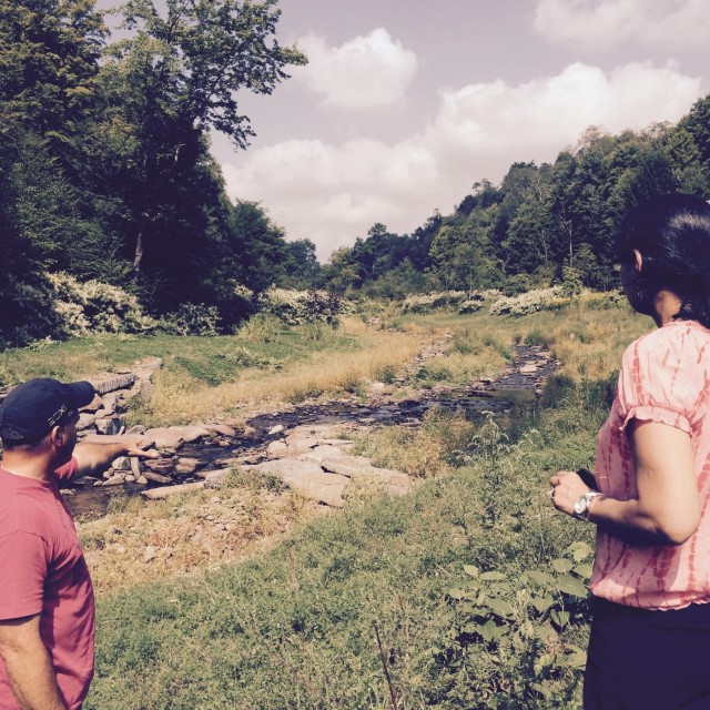 Corps keeps public water clean naturally