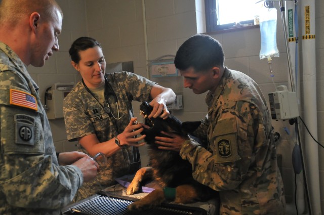 Fort Drum Veterinary Treatment Facility national accreditation