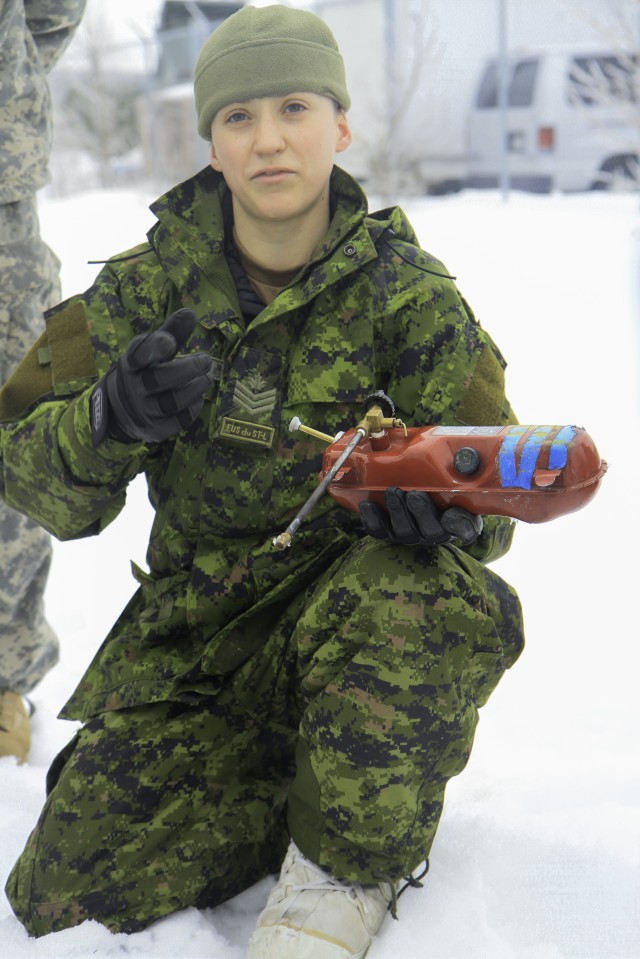 Soldiers regionally align, conduct sub-arctic training