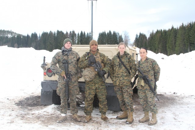 New Orleans Marines in Cold Response
