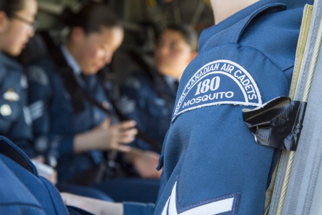 3rd CAB provides Canadian Mosquito Squadron a first class look at HAAF