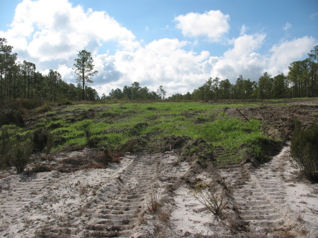 Watershed landscape remediation at Camp Blanding