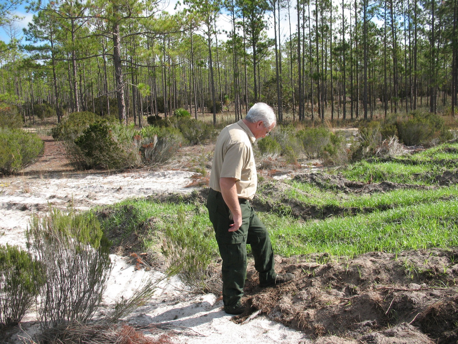 are dogs allowed at camp blanding