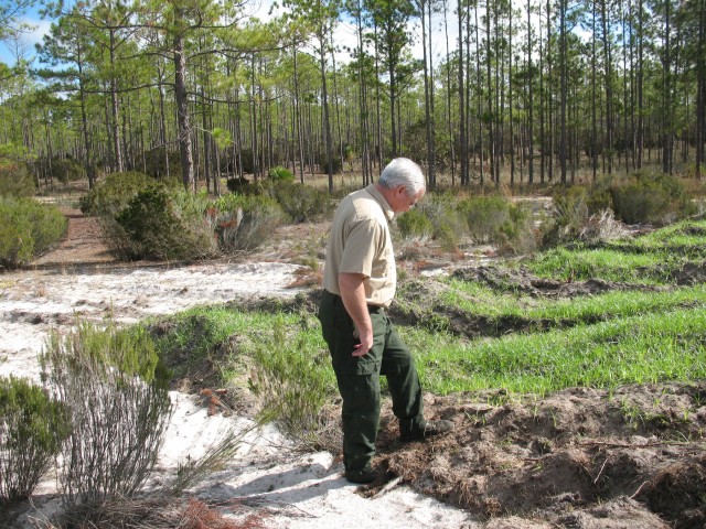 Invasive species monitoring at Camp Blanding