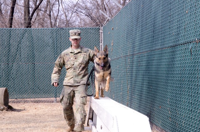 K9 Veterans Day, cause for celebration