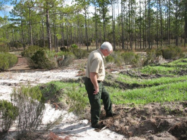 Army Guard takes top honors in Army environmental awards program