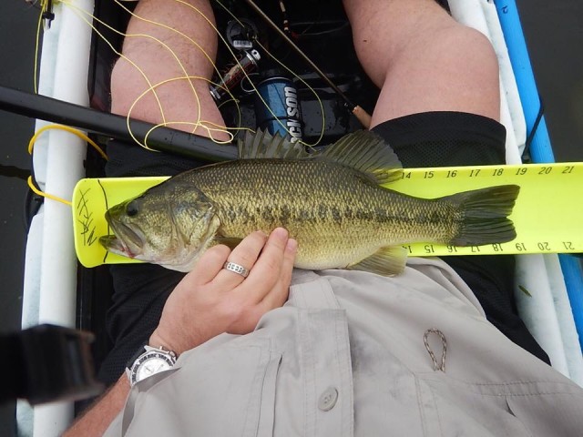 CATCHING A BIG ONE