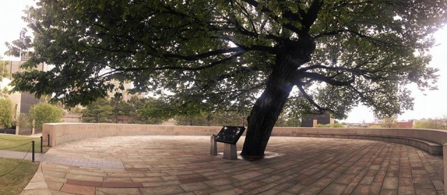 Survivor Tree