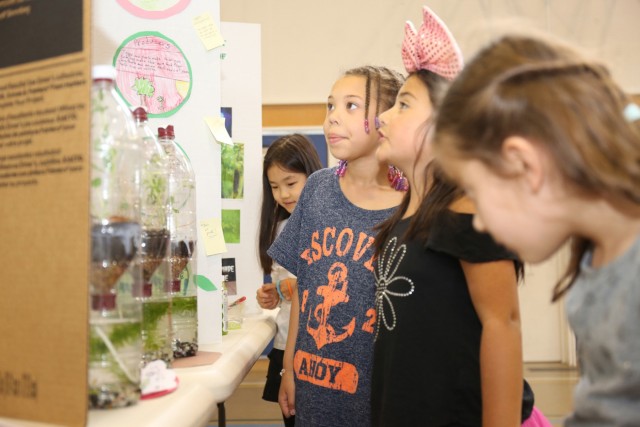 Annual school science fair impresses judges