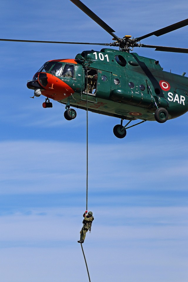 Scouts and allies in the sky