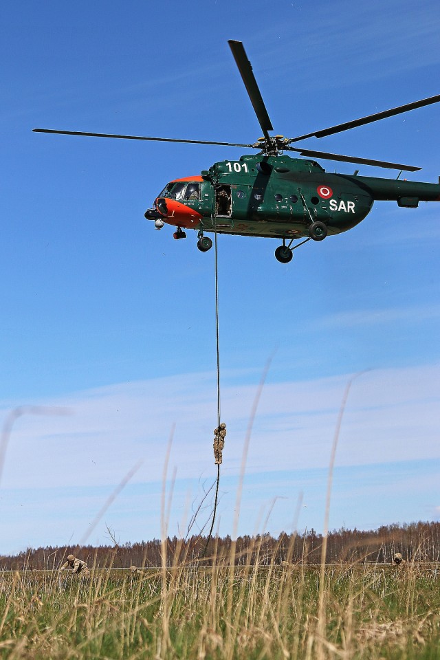 Scouts and allies in the sky