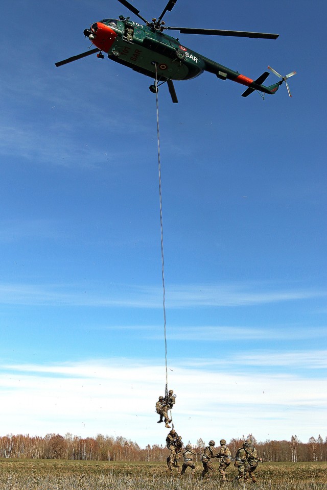 Scouts and allies in the sky