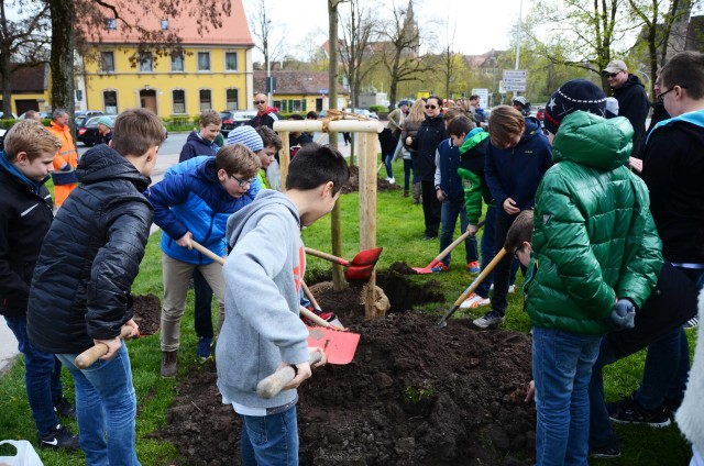 Tag des Baumes