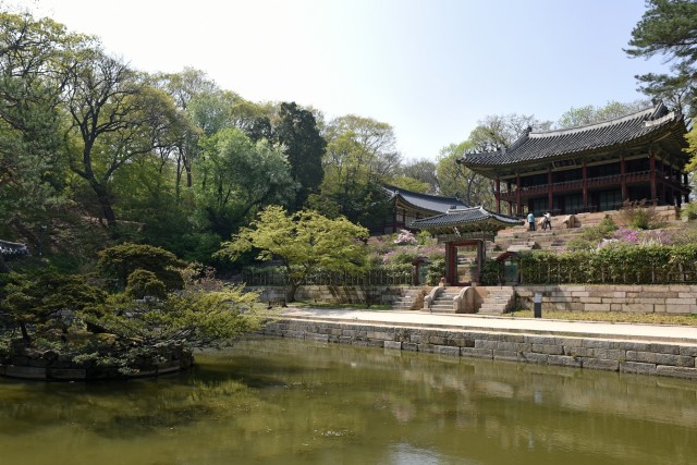 Soldiers in the secret garden