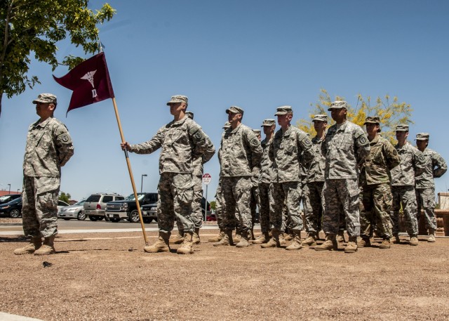 Destoyers case colors