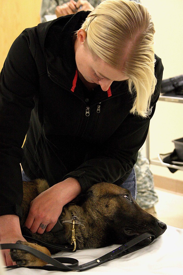 Pfc. Baldwin comforts military working dog Dodo before a CT scan