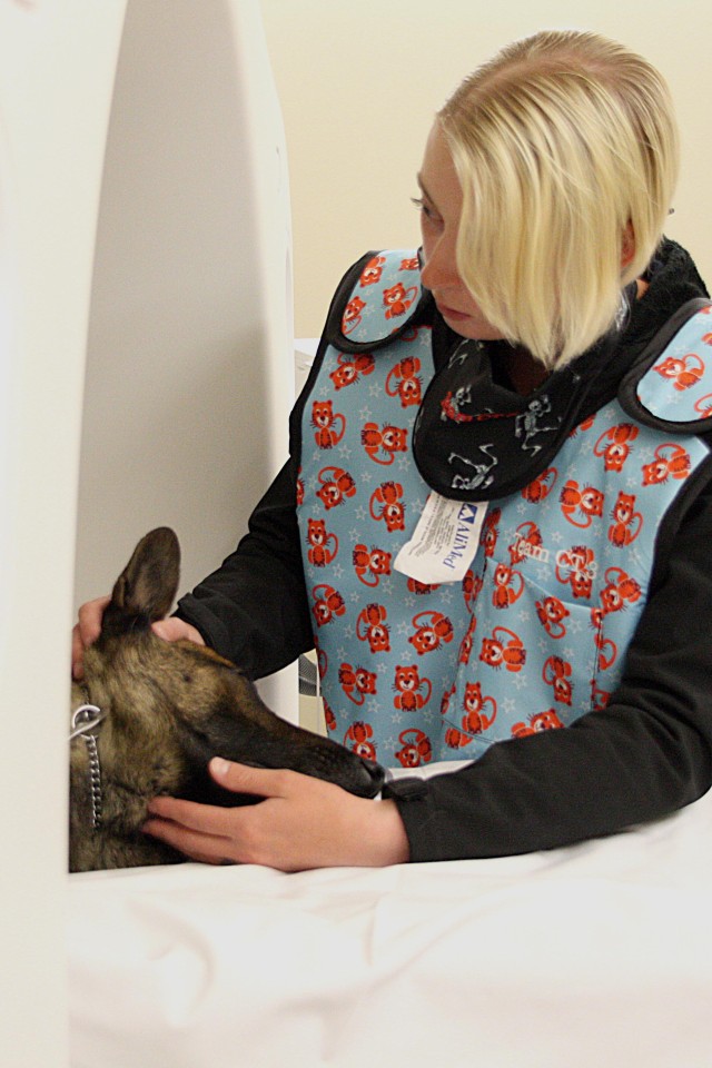 A handler comforts Dodo, a military working dog, as he gets a CT scan