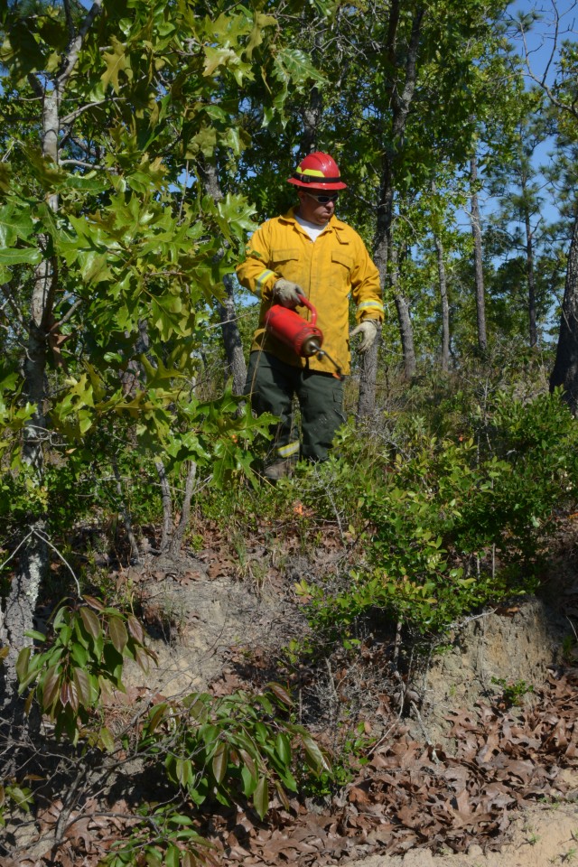 Controlled burn