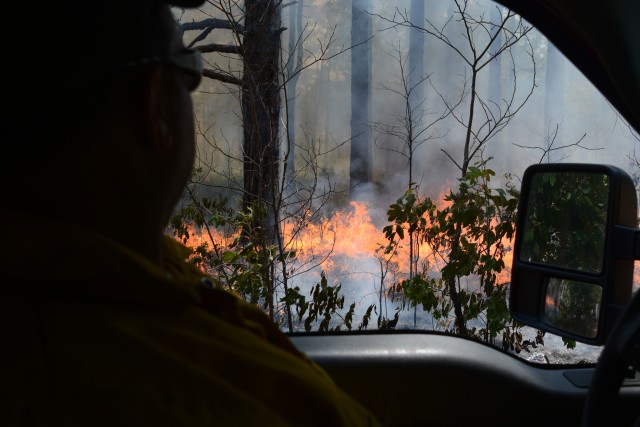 Watching the fire