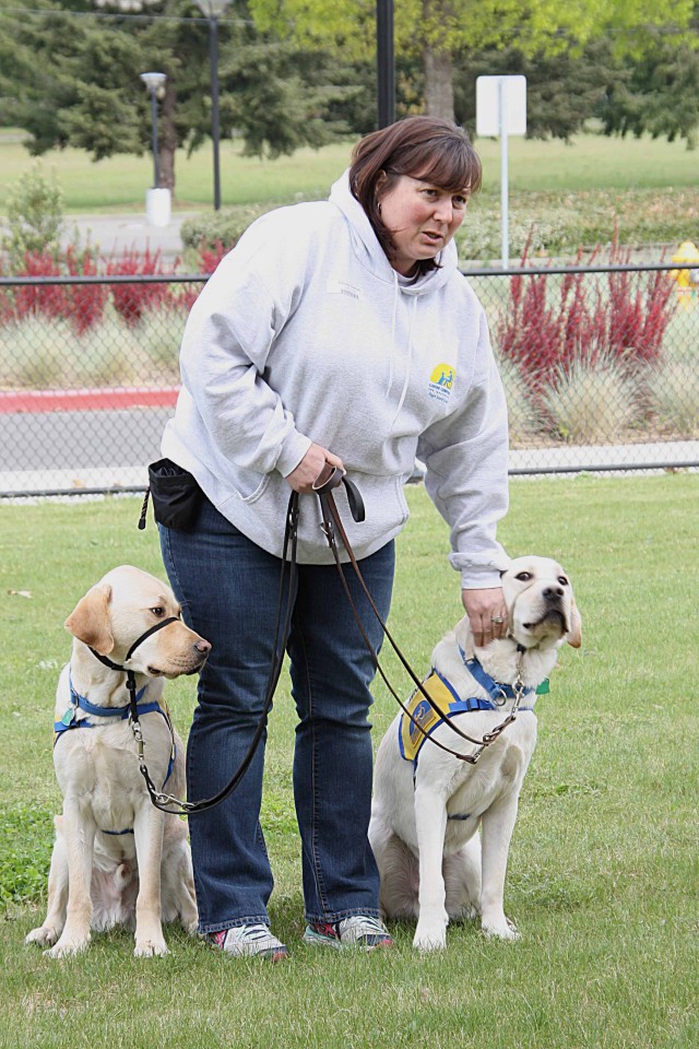 Companion Dogs in Training Waiting to Work with Kids