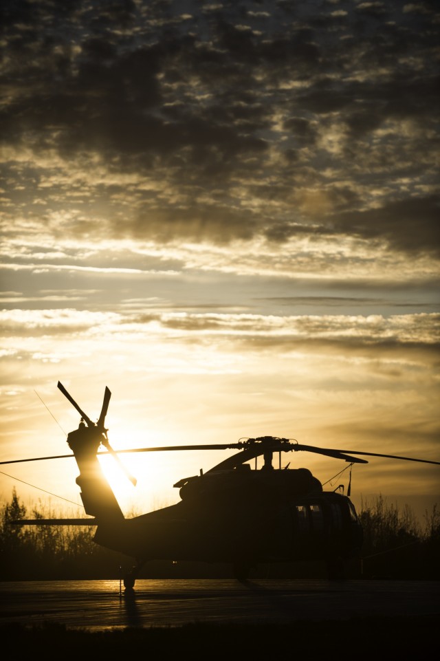 Buffalo Cavalry Troop Flies at Fort Drum