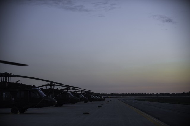 Buffalo Cavalry Troop Flies at Fort Drum