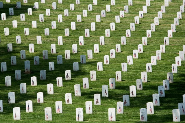 Flags-In: Soldiers pay tribute to the fallen