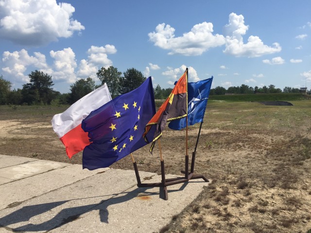NATO Allies