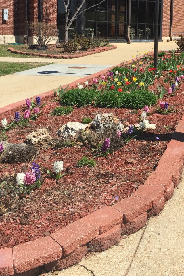 Davidson Fitness Center flowerbeds a labor of love: Honor Soldiers, community