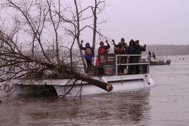Guiding Brush Piles