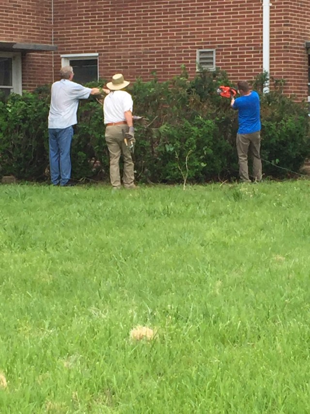 Beautification promotes team building