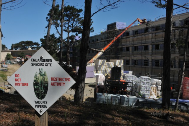 PoM Public Works protects endangered plants