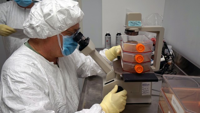 Army researchers testing Zika vaccine