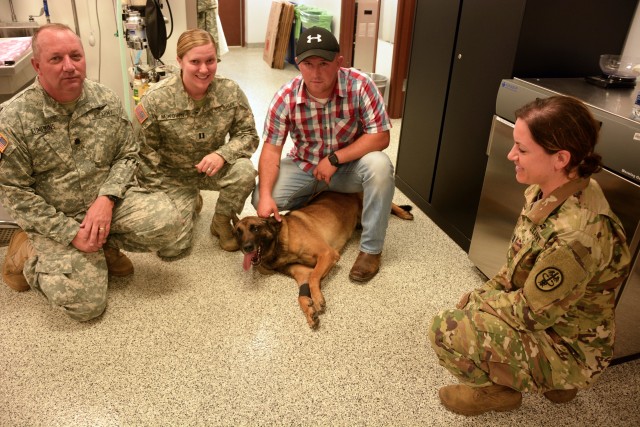 New 'bite' saves military working dog's career
