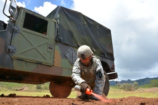 74th EOD Co. wins USARPAC TOY competition two years running