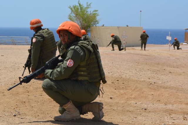 U.S. Soldiers work with Fijian forces to form Peace-keeping Battalion
