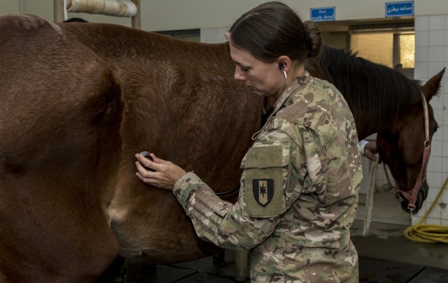 Camp Arifjan and Kuwaiti veterinarians collaborate