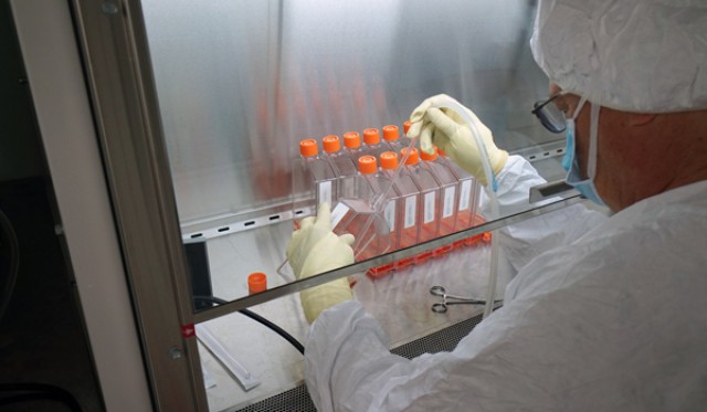 Walter Reed Army Institute of Research scientists test Zika vaccine