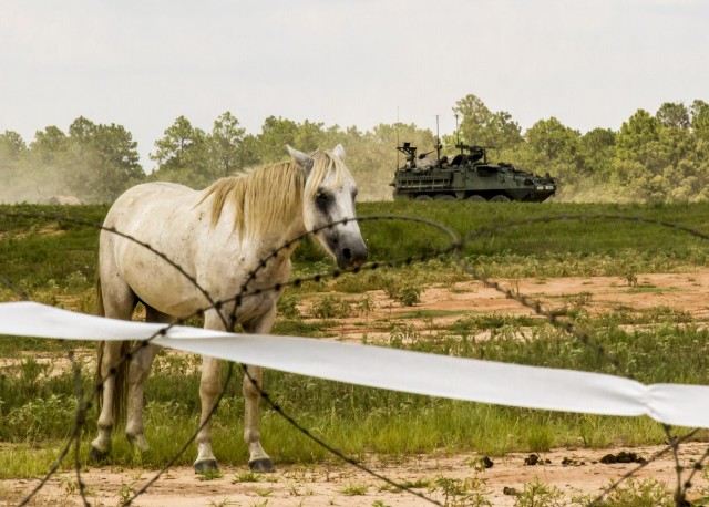 Soldiers experience realism at JRTC