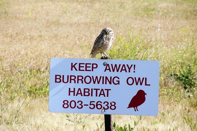 Keep Away