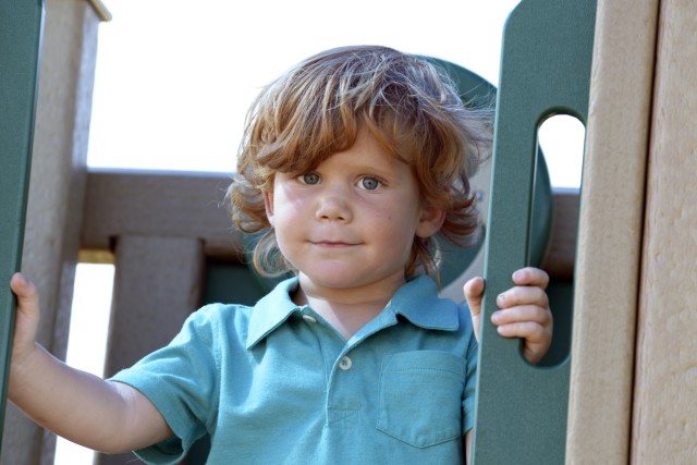 Party for pups, cats