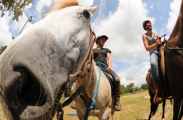 Riding Stables provide place for riders to hang hat