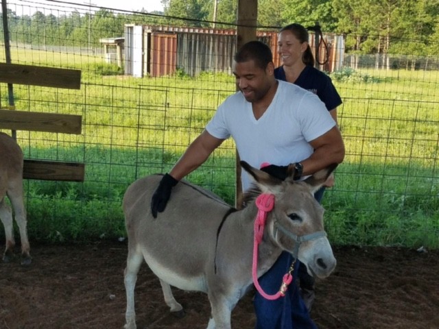 VTF staff provides care to donkeys, goats