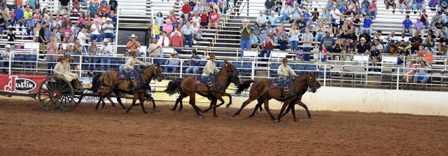 Half section, full gallop
