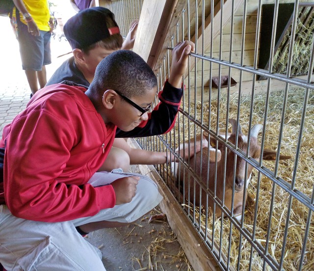 School Age Centers Summer Camp keeps youths engaged, learning during vacation