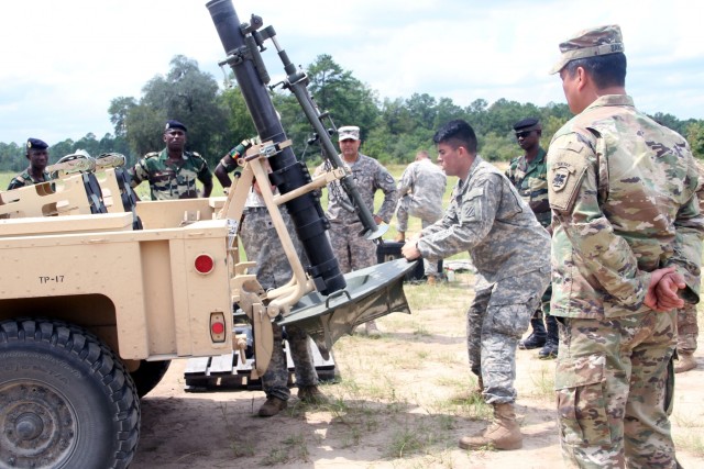 2IBCT training provides tactical insight for Senegalese Soldiers