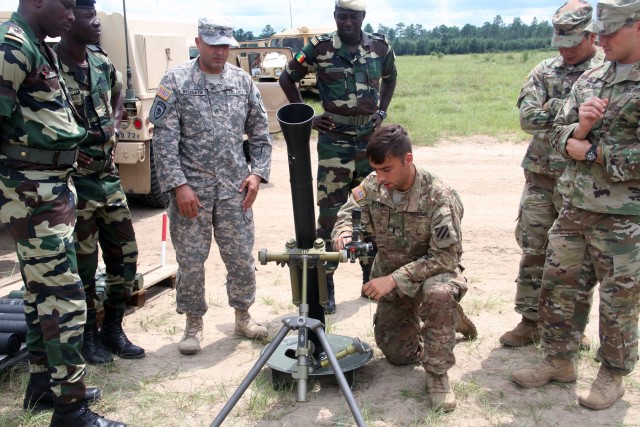 2IBCT training provides tactical insight for Senegalese Soldiers