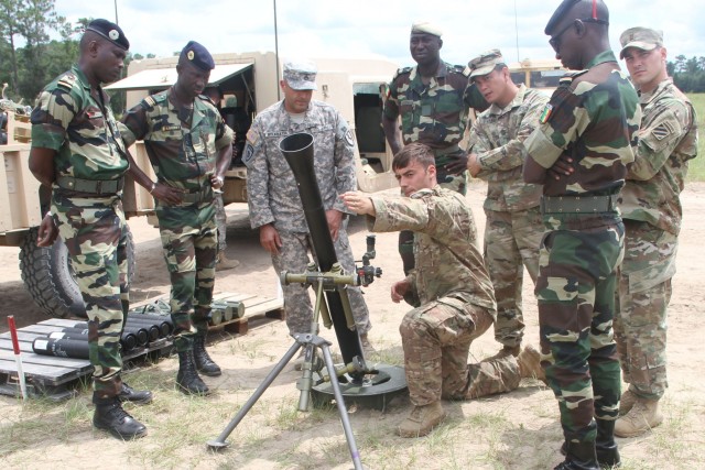 2IBCT training provides tactical insight for Senegalese Soldiers